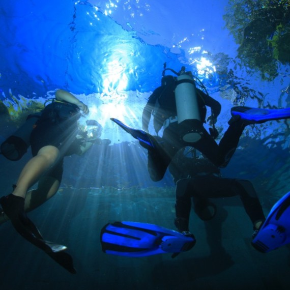 TIPS AND TRICKS FOR A FIRST DIVE | Atlantis bali Diving