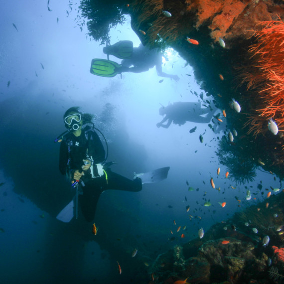 Diving Tulamben | Atlantis Bali Diving