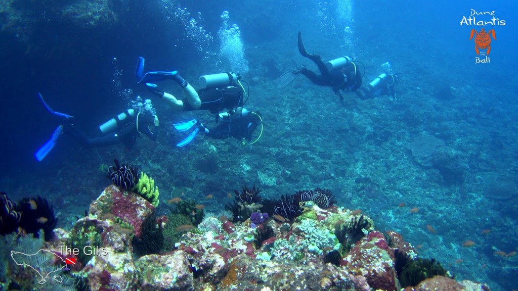 Gilis dive site | Atlantis Bali Diving