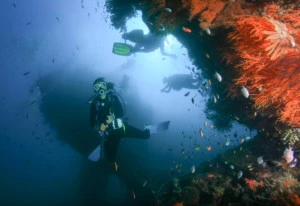diving in tulamben