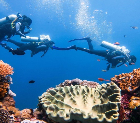 5 Reasons Why You Should Consider Becoming A PADI Divemaster In Bali | Atlantis Bali Diving