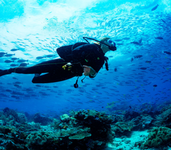 5 Reasons You Have To Go Scuba Diving In Bali | Atlantis Bali Diving