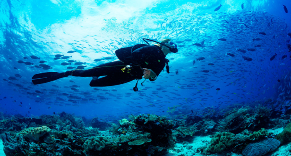 5 Reasons You Have To Go Scuba Diving In Bali | Atlantis Bali Diving