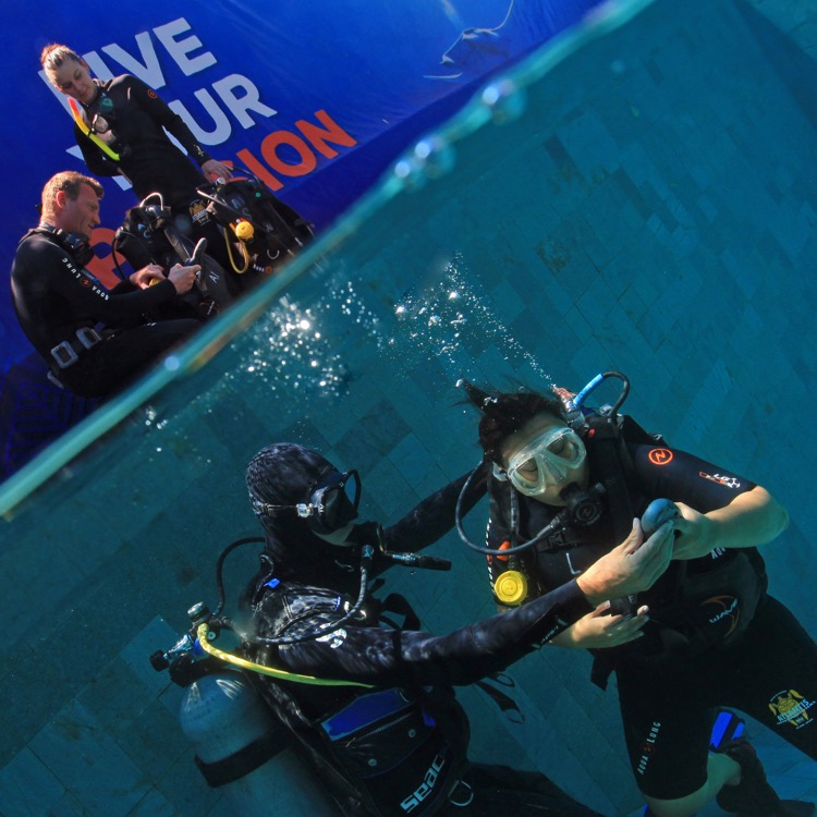 Padi scuba diving certification | Atlantis Bali Diving