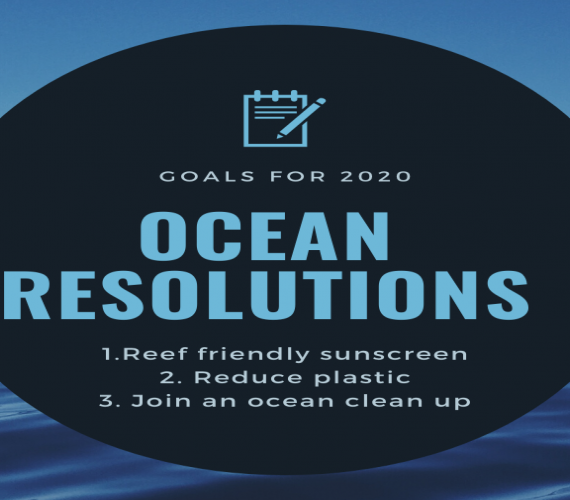 Ocean Resolutions For 2020! | Atlantis Bali Diving