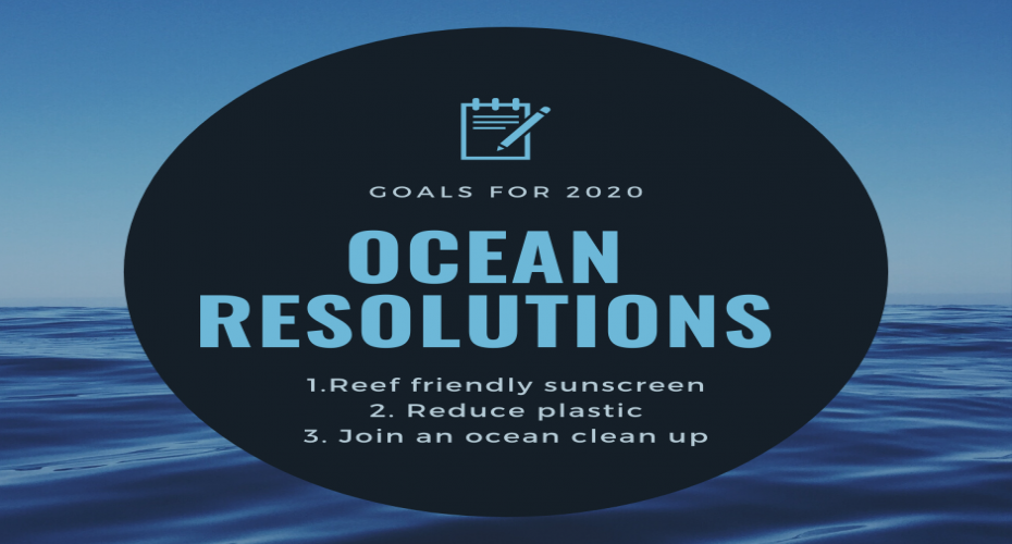 Ocean Resolutions For 2020! | Atlantis Bali Diving