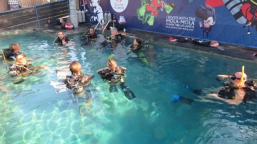 IDC + FULL MSDT INTERNSHIP | ATLANTIS BALI DIVING