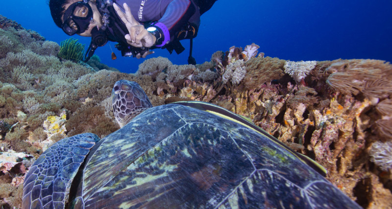 Coral Propagation | Atlantis Bali Diving