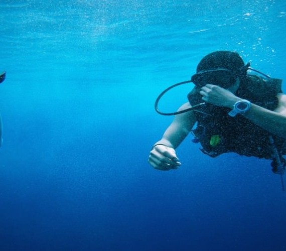 Scuba Diving Bali Accessible To Everyone