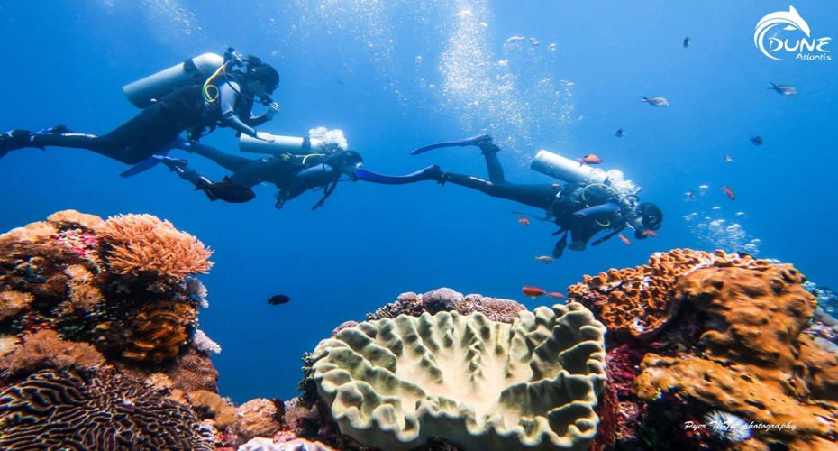 plongée sous marine