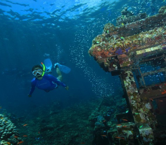 The World Of Snorkeling In Bali! | Atlantis Bali Diving