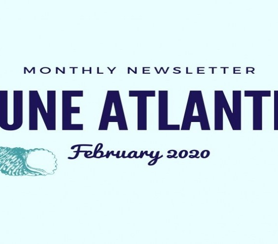 Monthly Newsletter Feb 2020 | Atlantis Bali Diving