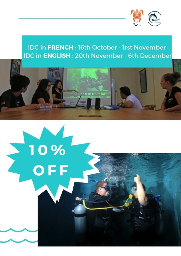 Newsletter September - 10% off IDC course in English and French | Atlantis Bali Diving