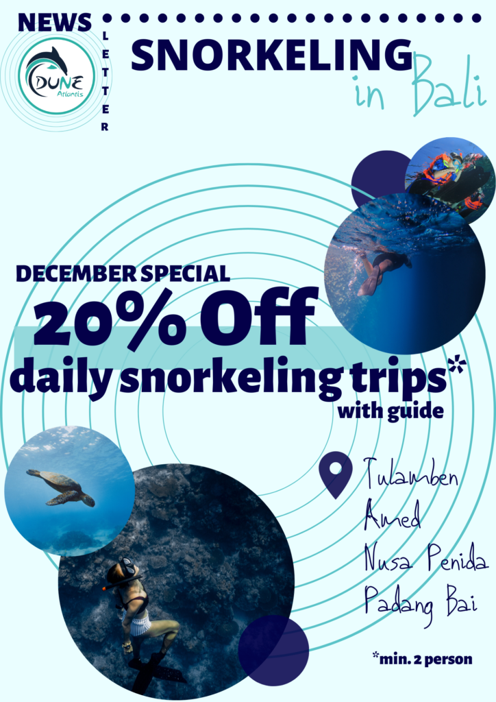 Newsletter December - 20% off daily snorkeling | Atlantis Bali Diving