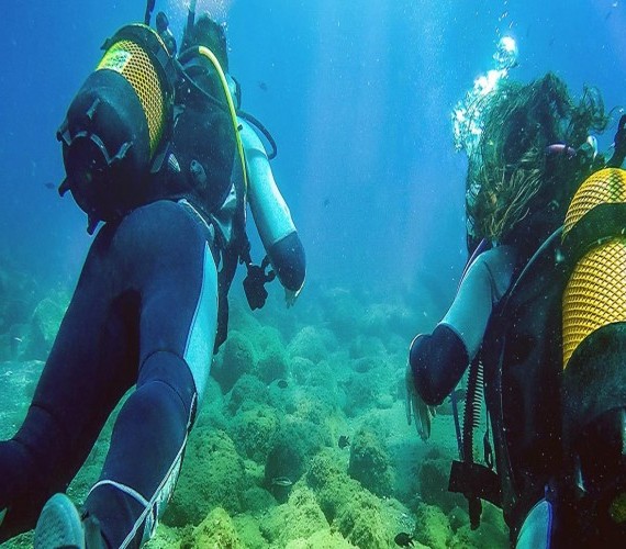 Newsletter November 2019 | Atlantis Bali Diving