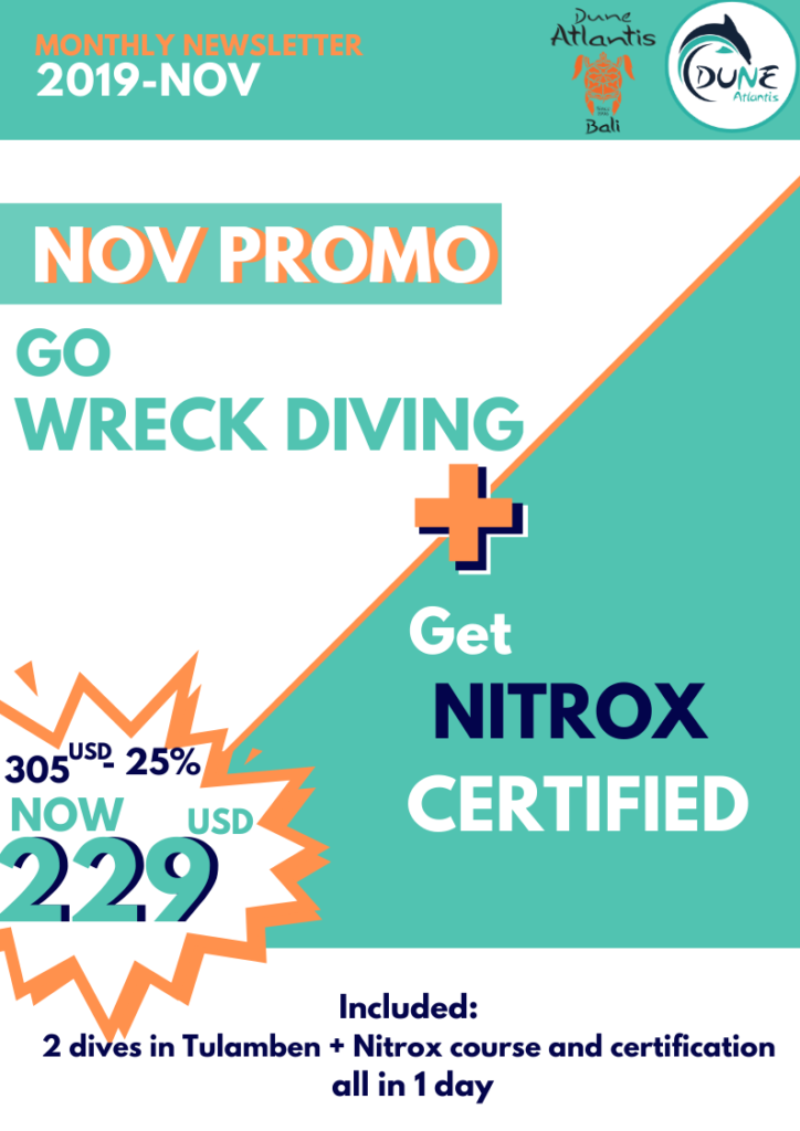 Newsletter November | Wreck Diving + Nitrox Certified | Atlantis Bali Diving