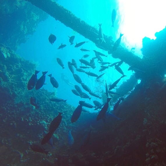 wreck diving spot Tulamben Amed | Atlantis Bali Diving