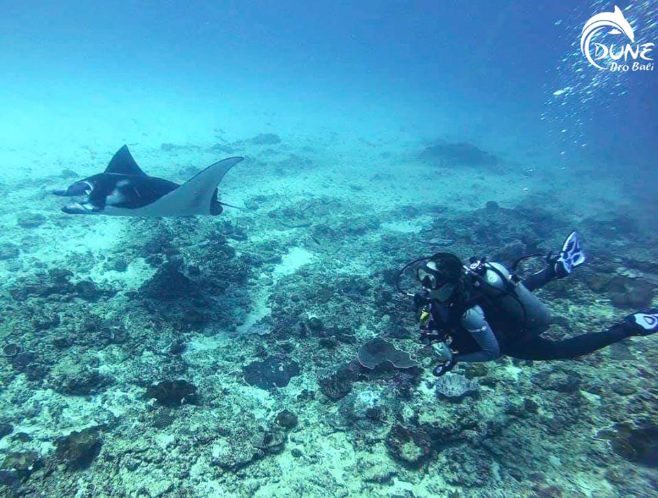 Padi Open Water | Atlantis Bali Diving