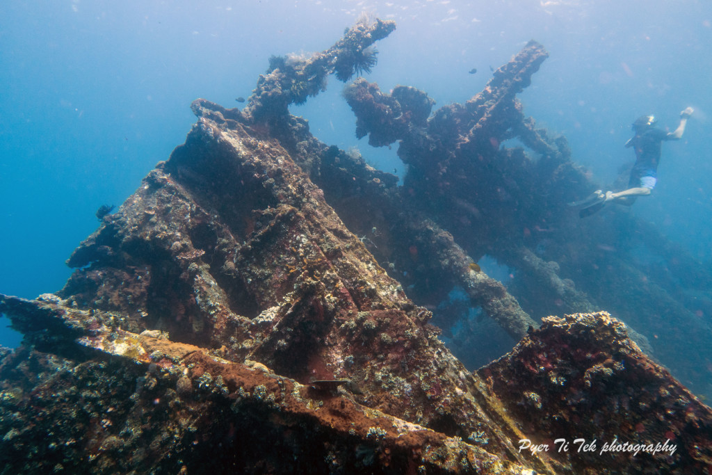 Reefs | Atlantis Bali Diving
