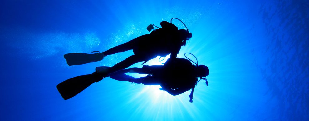 Dive Buddy | Atlantis Bali Diving