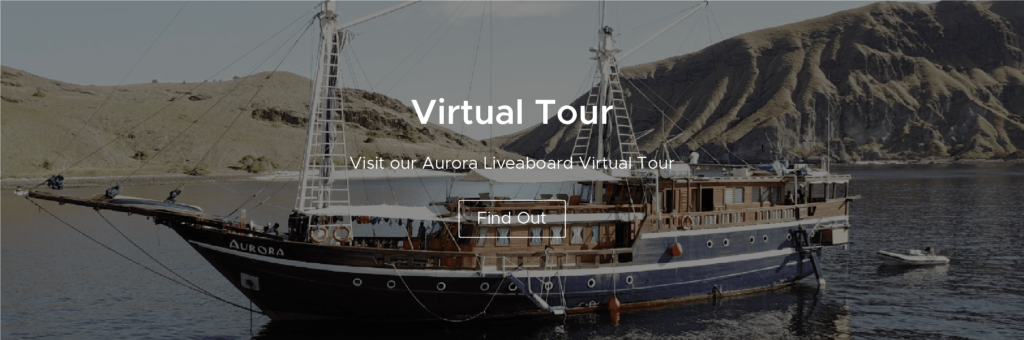 Virtual Tour | Atlantis Bali Diving