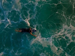 surfer doing surf